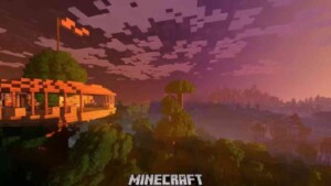 Minecraft Java Edition 3