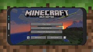 Minecraft Java Edition 1