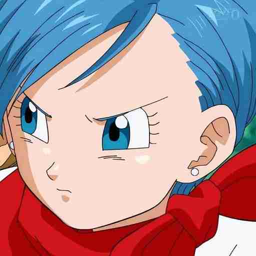 Bulma Adventure