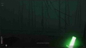 Descending The Woods 5