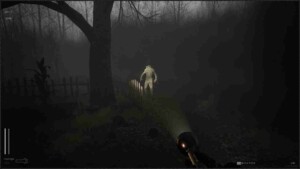 Descending The Woods 2
