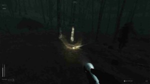 Descending The Woods 4