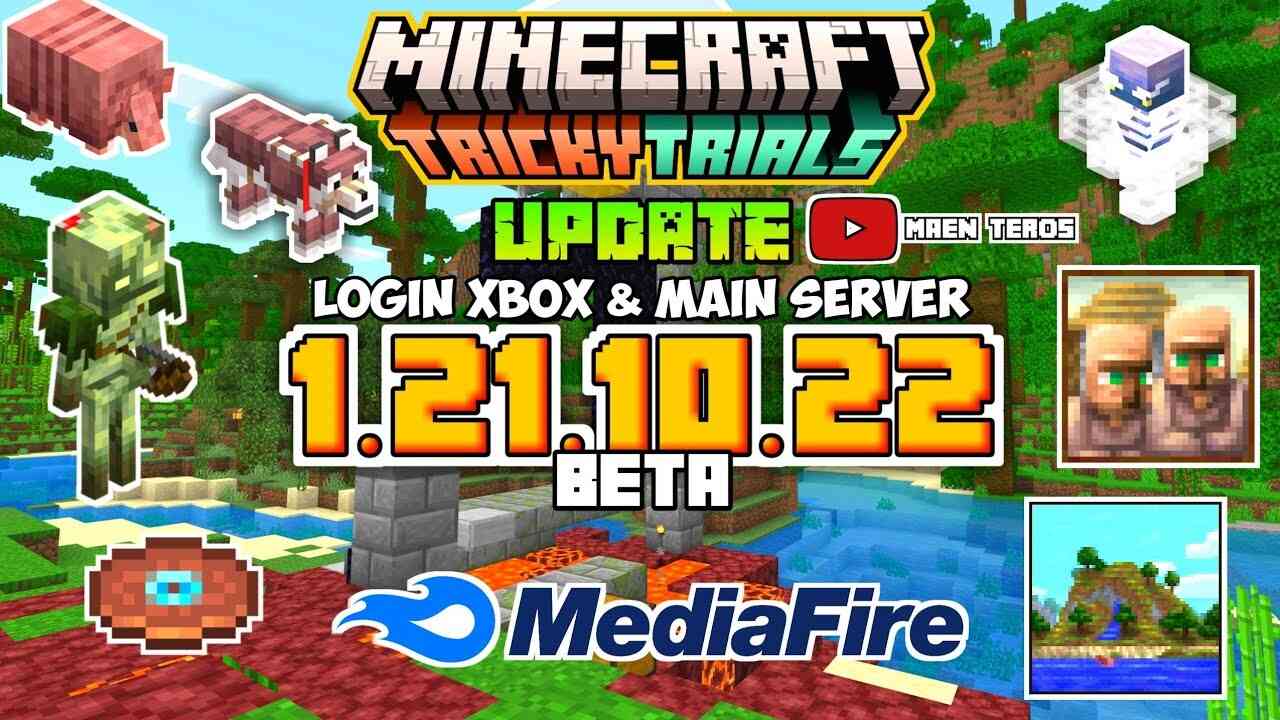 Minecraft 1.21.10.22