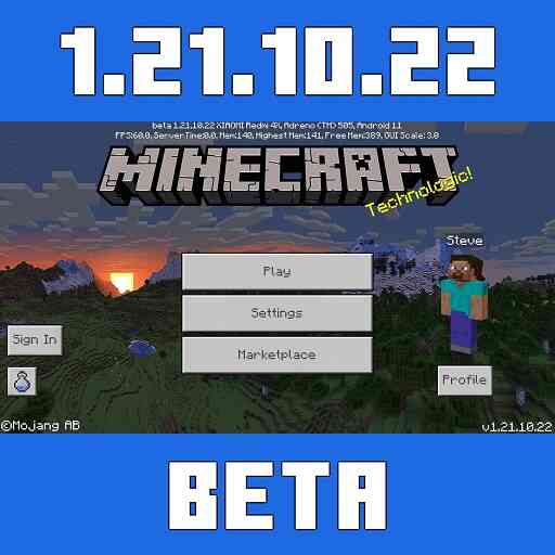 Minecraft 1.21.10.22