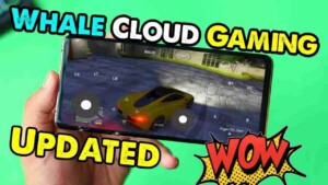 Whale Cloud Game 4