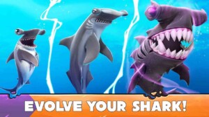 Hungry Shark Evolution 3