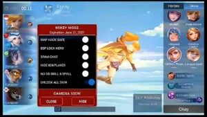 Mikey Modz ML 1
