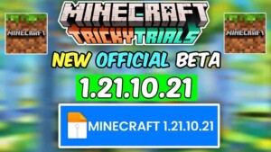 Minecraft 1.21.10.21 1