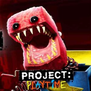 Project Playtime