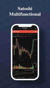 Satoshi 3