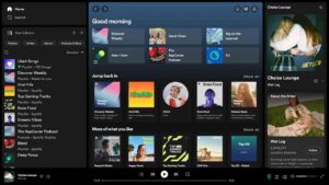 Spotify Premium v8.9.56.618 3