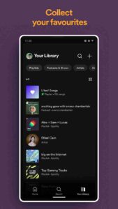 Spotify Premium v8.9.58.572 3