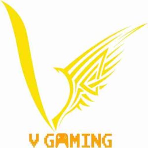 V Gaming