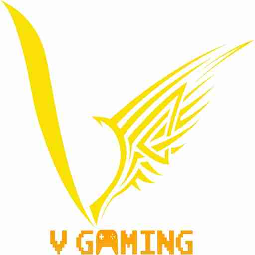 V Gaming