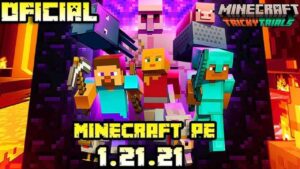 Minecraft 1.21.21 2