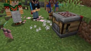Minecraft 1.21.21 3