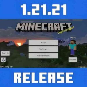Minecraft 1.21.21