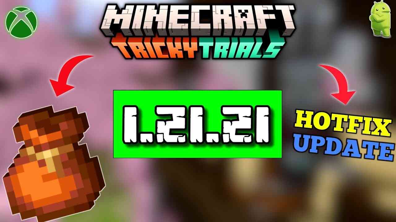 Minecraft 1.21.21