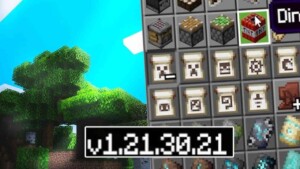 Minecraft 1.21.30.21 4