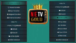 NETV Gold 2