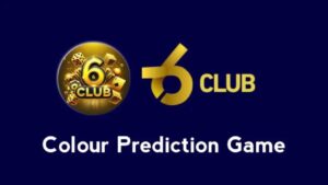 6 Club Login screenshot 1