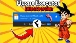 Fluxus Executor v641 3