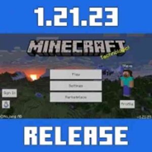 Minecraft 1.21.23