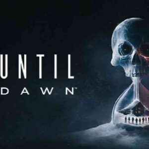 Until Dawn