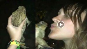 One Girl One Frog 2