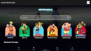 Anime World India 1