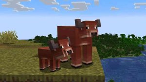 Minecraft 1.21.60 3