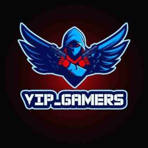 VIP Gamer Panel