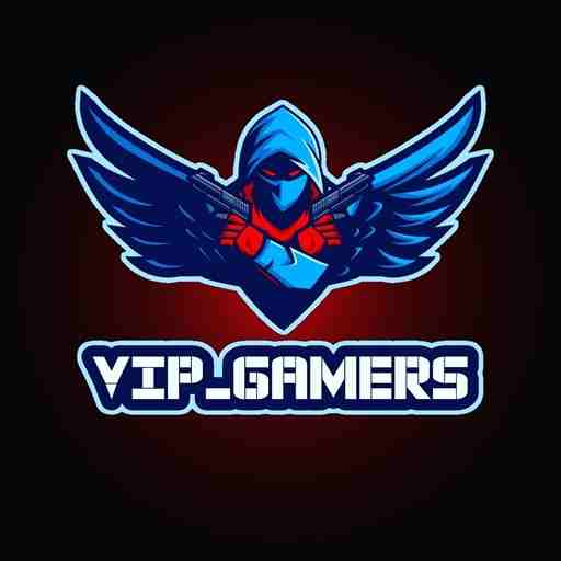 VIP Gamer Panel