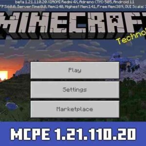 Minecraft 1.21.110.20
