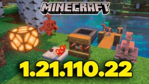 Minecraft 1.21.110.22 1