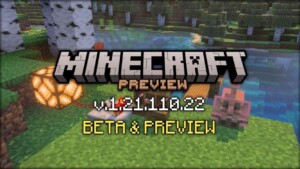 Minecraft 1.21.110.22 3