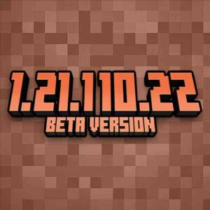 Minecraft 1.21.110.22