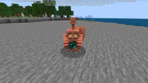 Minecraft 1.21.93 4