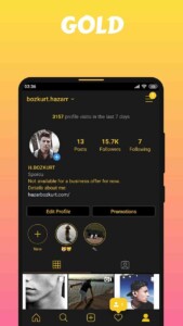 Gold View 4