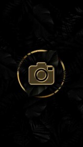 Gold View 1