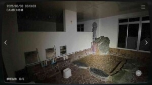 Japan Stigmatized Property 2