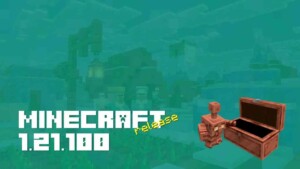 Minecraft 1.21.100 1