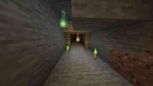 Minecraft 1.21.101 4