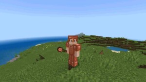 Minecraft 1.21.101 3