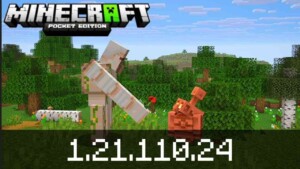 Minecraft 1.21.110.24 1