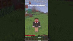 Minecraft 1.21.110.26 4