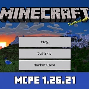 Minecraft 1.26.21