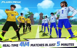Flash Peak screenshot 4